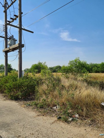 ขายที่ดินทำเลดี 4 ไร่40 ตารางวา  ตำบลชะแมบ อำเภอวังน้อย อยุธยา