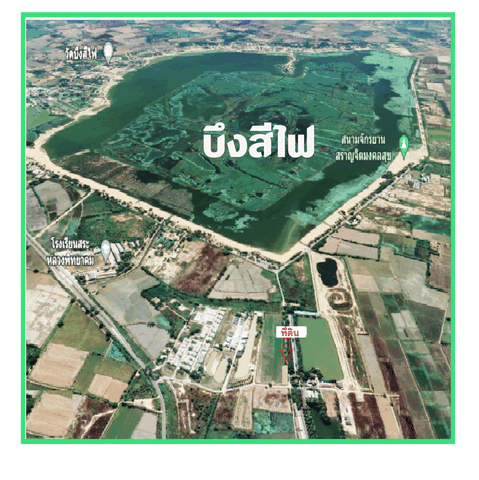 ขายที่ดินทำเลทอง แบ่งเป็นล็อค ขนาดพื้นที่เริ่มต้น  55 ตารางวา  ตำบลคลองคะเชนทร์  อำเภอเมือง จังหวัดพิจิตร