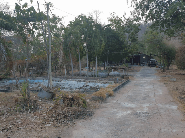 ขายที่ดิน 7 ไร่ 3 งาน 9 ตารางวา ตำบลเขาขลุง อำเภอบ้านโป่ง จังหวัดราชบุรี