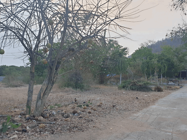 ขายที่ดิน 7 ไร่ 3 งาน 9 ตารางวา ตำบลเขาขลุง อำเภอบ้านโป่ง จังหวัดราชบุรี