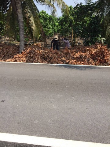 ขายที่ดินทำเลดี  5 ไร่ 75 ตารางวา  ตำบลหนองบัว อำเภอบ้านแพ้ว สมุทรสาคร