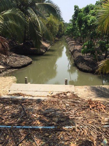 ขายที่ดินทำเลดี  5 ไร่ 75 ตารางวา  ตำบลหนองบัว อำเภอบ้านแพ้ว สมุทรสาคร