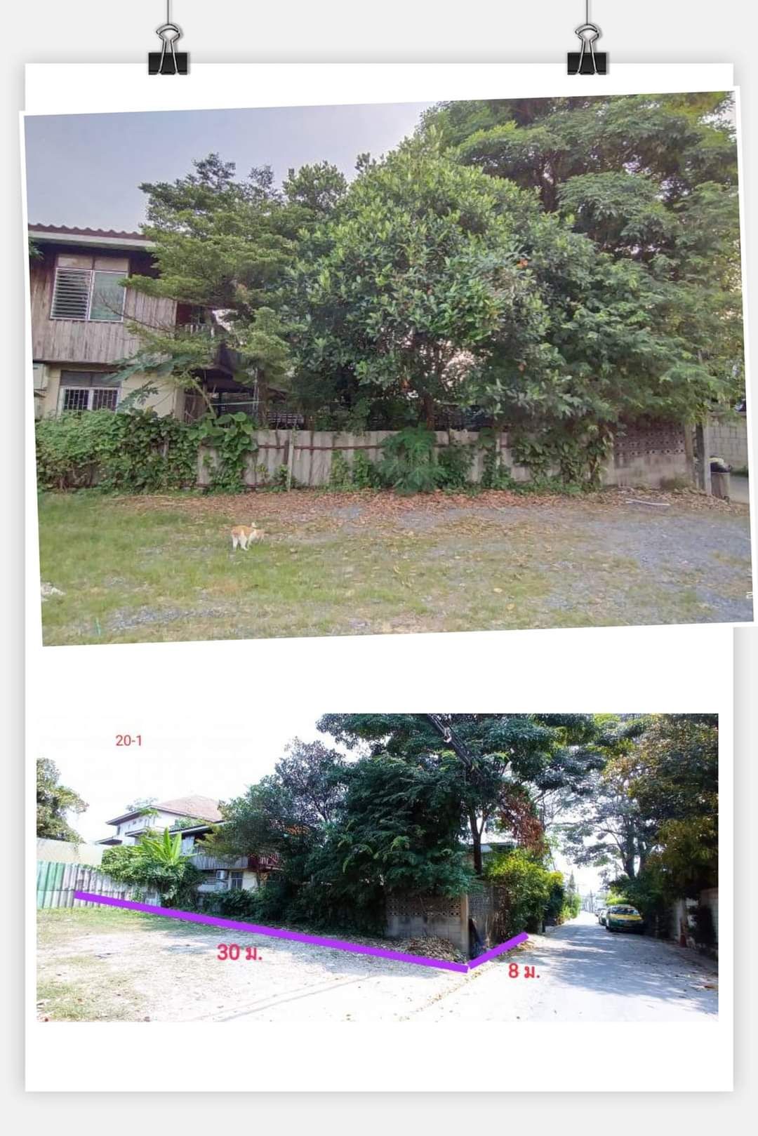 บ้านถนนลาดพร้าวซอย 41 ใกล้รถไฟฟ้าสายสีเหลือง