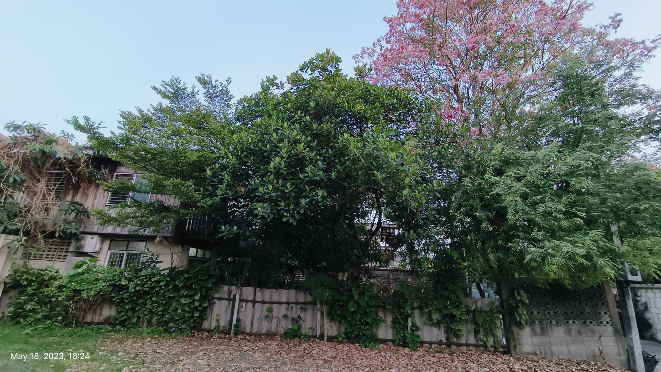 บ้านถนนลาดพร้าวซอย 41 ใกล้รถไฟฟ้าสายสีเหลือง