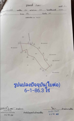 ขายที่ดิน(โฉนดครุฑแดง น.ส.4 จ.) พร้อมต้นสักทองเต็มพื้นที่  6 ไร่ 1 งาน 86.3 ตารางวา จังหวัดแพร่ 