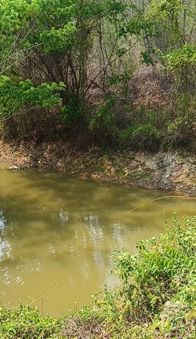 ขายที่ดิน(โฉนดครุฑแดง น.ส.4 จ.) พร้อมต้นสักทองเต็มพื้นที่  6 ไร่ 1 งาน 86.3 ตารางวา จังหวัดแพร่ 