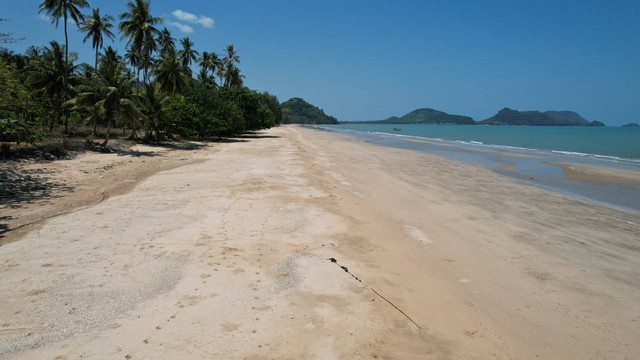 ขายที่ดินแบ่งแปลง หาดทรายรีสวี ตำบลท่าหิน อำเภอสวี จังหวัดชุมพร