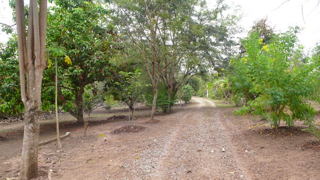 ขายที่ดินติดริมแม่น้ำโขง  4 ไร่  87.5 ตารางวา ตำบลเชียงคาน อำเภเชียงคาน จังหวัดเลย