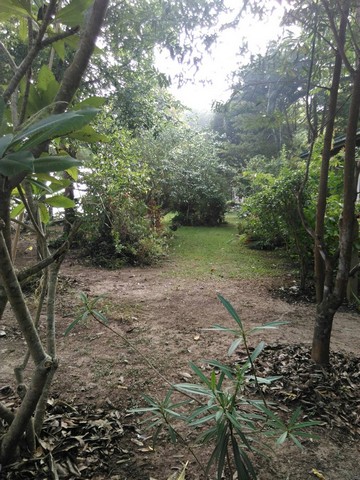 ขายที่ดินติดริมแม่น้ำโขง  4 ไร่  87.5 ตารางวา ตำบลเชียงคาน อำเภเชียงคาน จังหวัดเลย