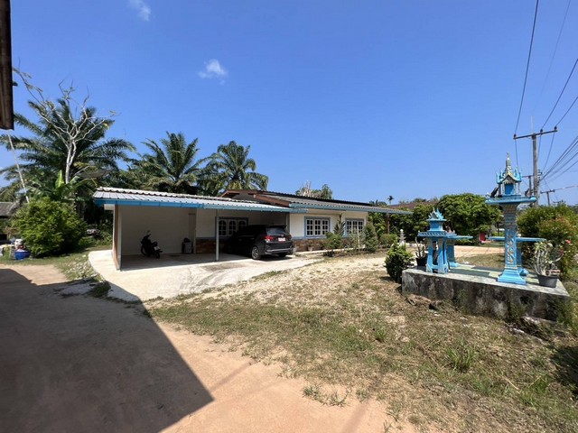 ขายที่ดินทำเลทองพร้อมบ้าน และสวนปาล์ม 1 ไร่ 1 งาน 96 ตารางวา ชุมพร