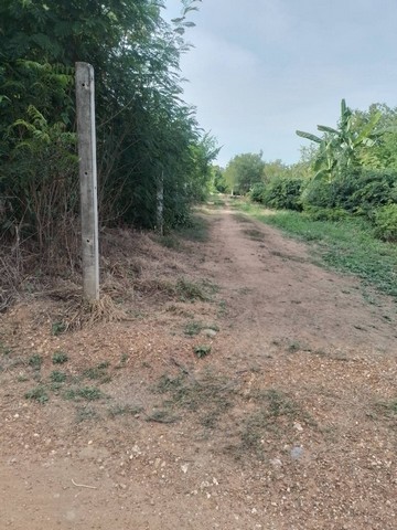 ขายที่ดิน 24 ไร่ 3 งาน 3 ตารางวา เจ้าของขายเอง ตำบลตะเบาะ อำเภอเมืองเพชรบูรณ์ จังหวัดเพชรบูรณ์