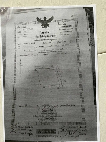 ขายที่ดิน 24 ไร่ 3 งาน 3 ตารางวา เจ้าของขายเอง ตำบลตะเบาะ อำเภอเมืองเพชรบูรณ์ จังหวัดเพชรบูรณ์