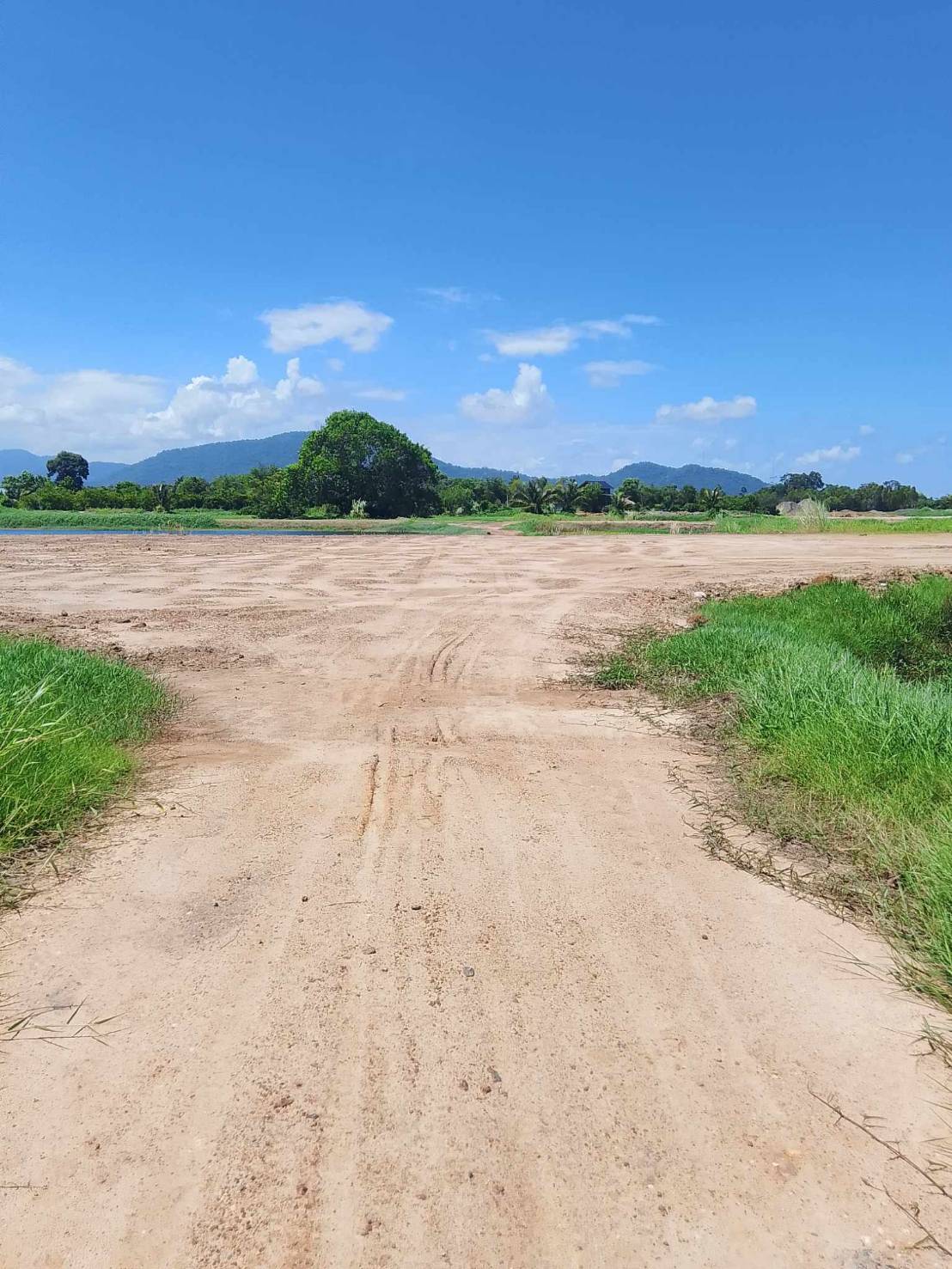 ขายที่ดินระยอง