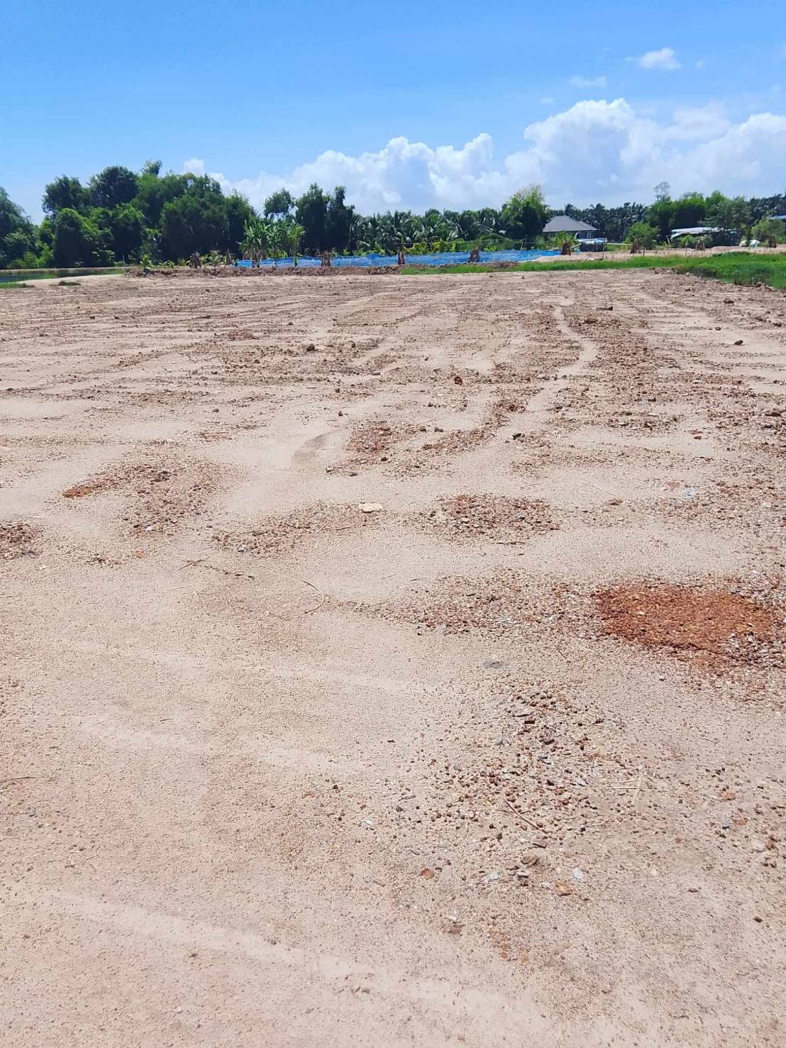 ขายที่ดินระยอง