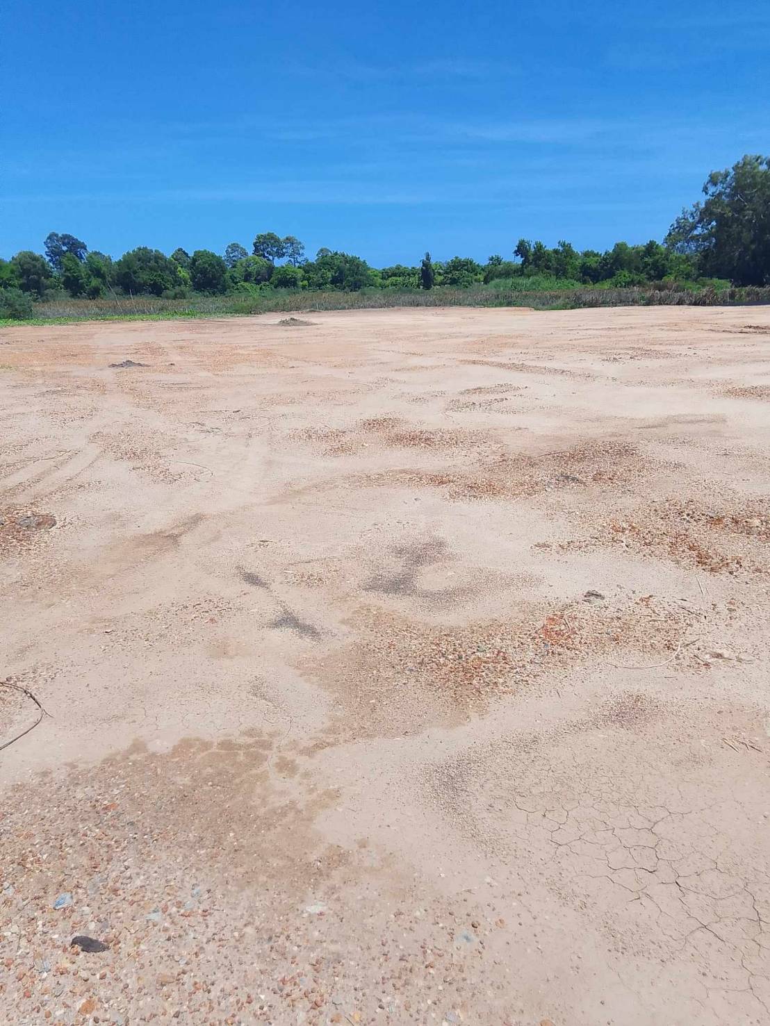 ขายที่ดินระยอง