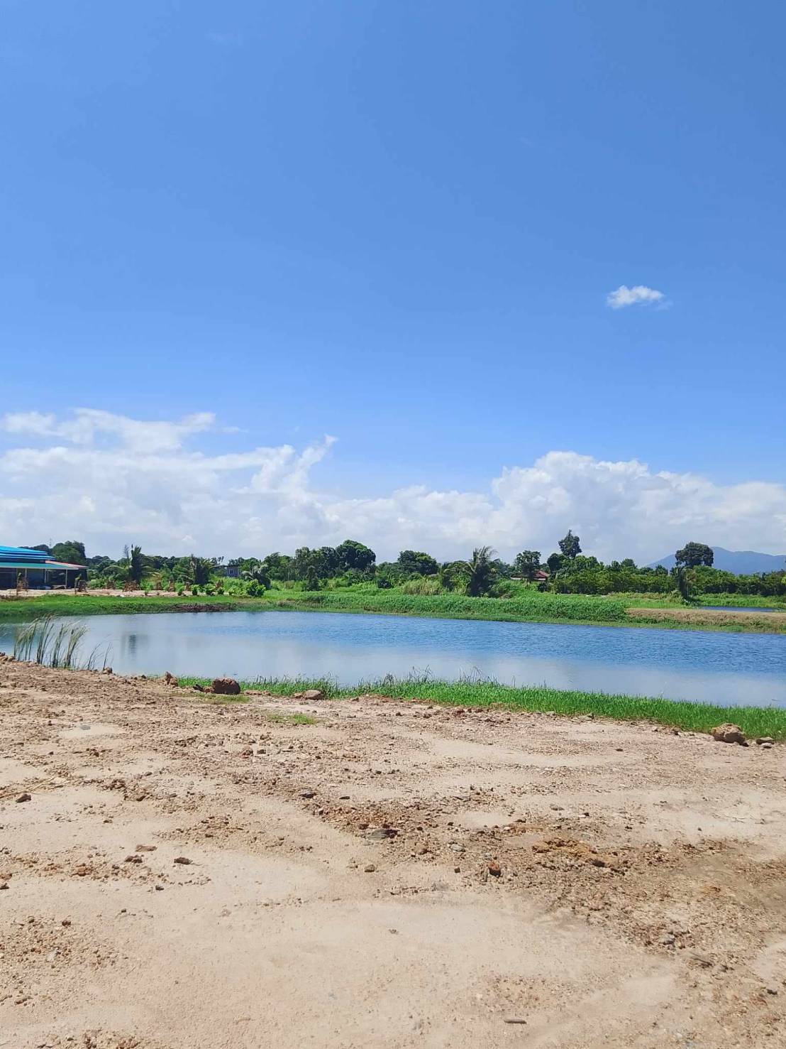 ขายที่ดินระยอง