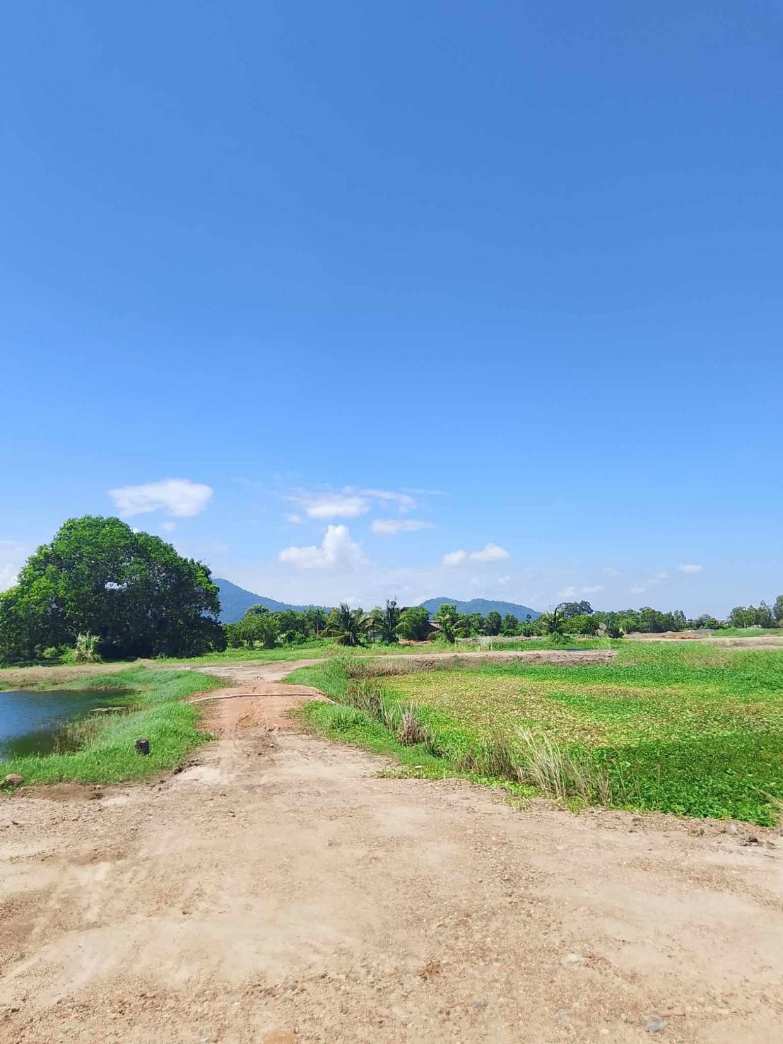 ขายที่ดินระยอง