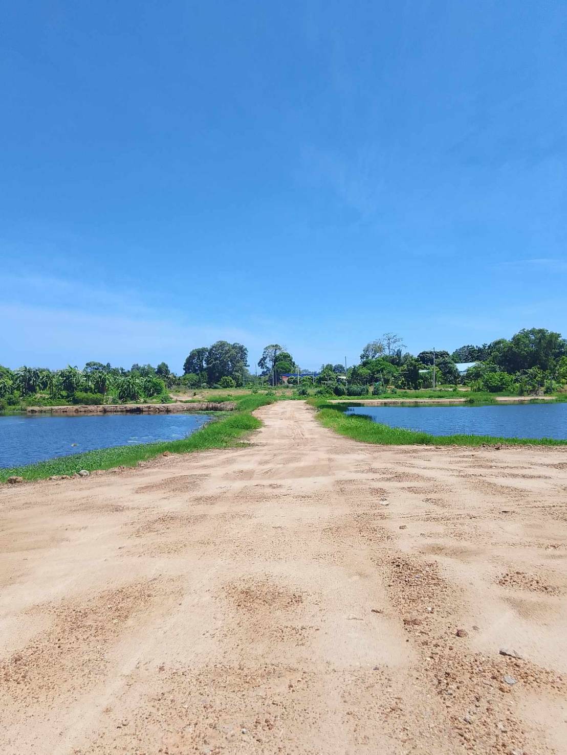 ขายที่ดินระยอง