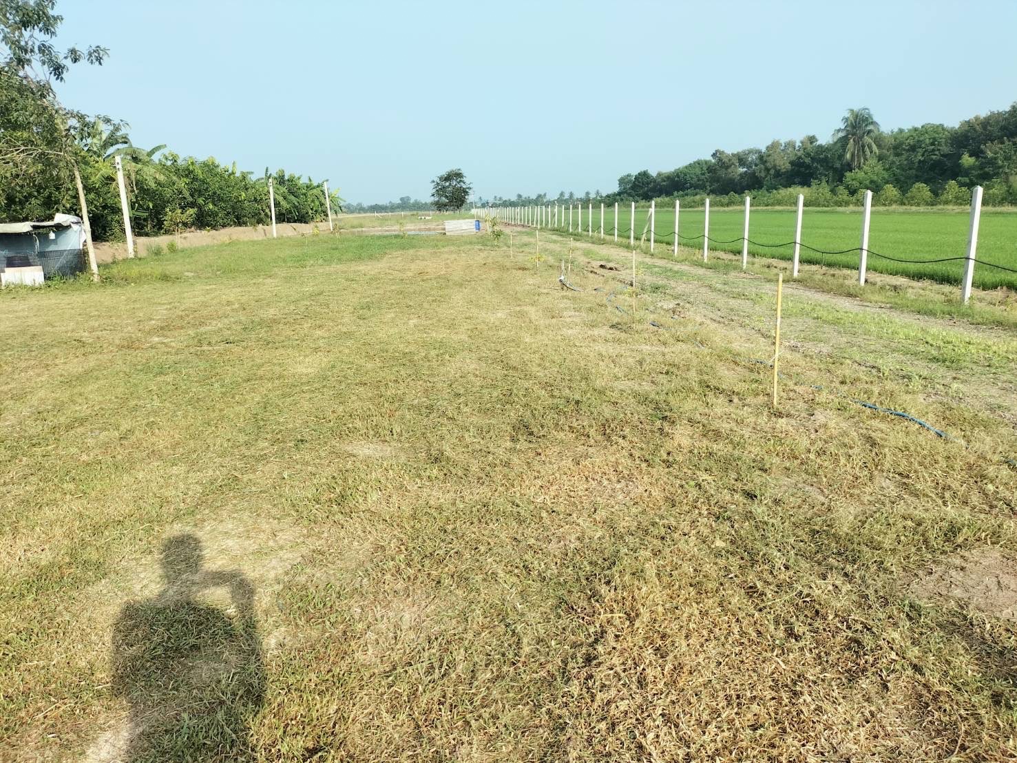 ขายที่ดินพร้อมสิ่งปลูกสร้าง ที่ถมแล้ว น้ำ-ไฟ พร้อม