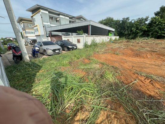 ขายที่ดินโฉนด 200 ตรว. มทส. ประตู1 มหาวิทยาลัยเทคโนโลยีสุรนารี