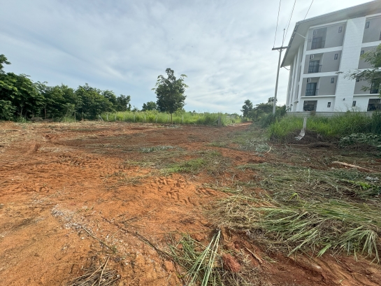 ขายที่ดินโฉนด 200 ตรว. มทส. ประตู1 มหาวิทยาลัยเทคโนโลยีสุรนารี
