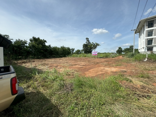 ขายที่ดินโฉนด 200 ตรว. มทส. ประตู1 มหาวิทยาลัยเทคโนโลยีสุรนารี