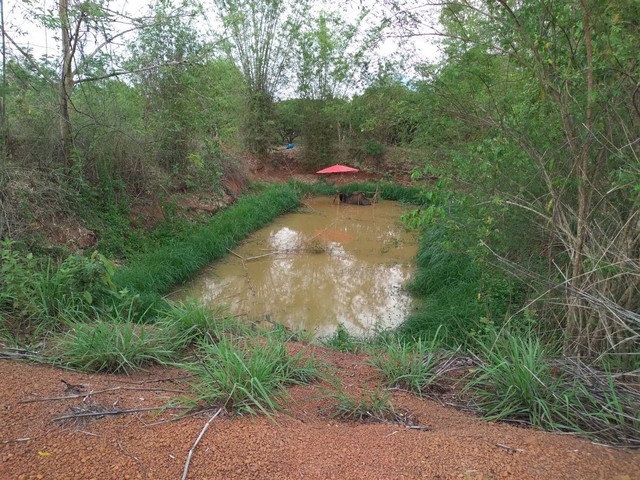 ขายที่ดินเขตเทศบาล สามารถแบ่งจ่ายได้  ต.น้ำสวย ( บ้านเพีย ) อ.เมือง จ.เลย 2 แปลง 