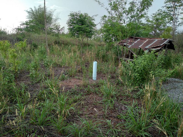 ขายที่ดินเขตเทศบาล สามารถแบ่งจ่ายได้  ต.น้ำสวย ( บ้านเพีย ) อ.เมือง จ.เลย 2 แปลง 