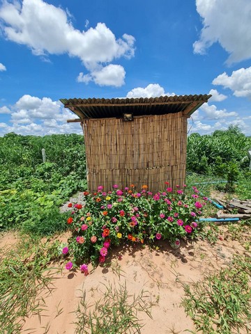 ขายที่ จำนวน 1 ไร่ โฉนดครุฑแดง นส 4 จ อ.ท่าม่วง ต.หนองตากยา จ.กาญจนบุรี 