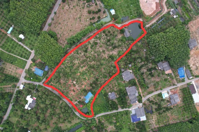 ขายที่ดิน สวนทุเรียนสวย ทำเลดี 15 ไร่ 3 งาน 77 ตารางวา ตำบลกร่ำ อำเภอแกลง จังหวัดระยอง