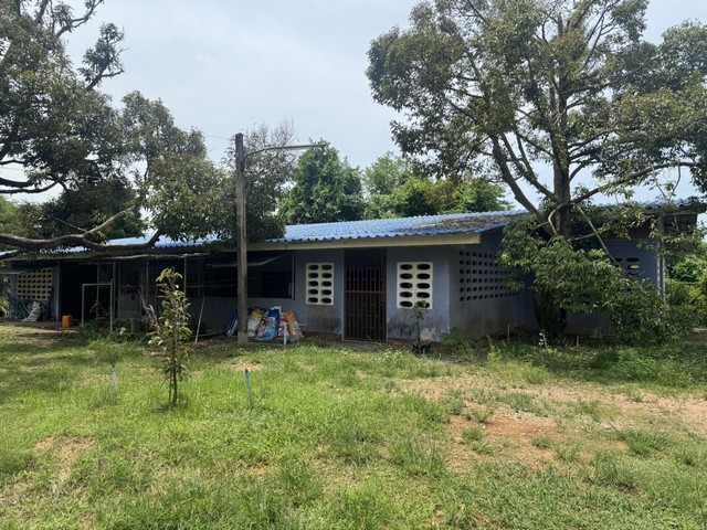 ขายที่ดิน สวนทุเรียนสวย ทำเลดี 15 ไร่ 3 งาน 77 ตารางวา ตำบลกร่ำ อำเภอแกลง จังหวัดระยอง