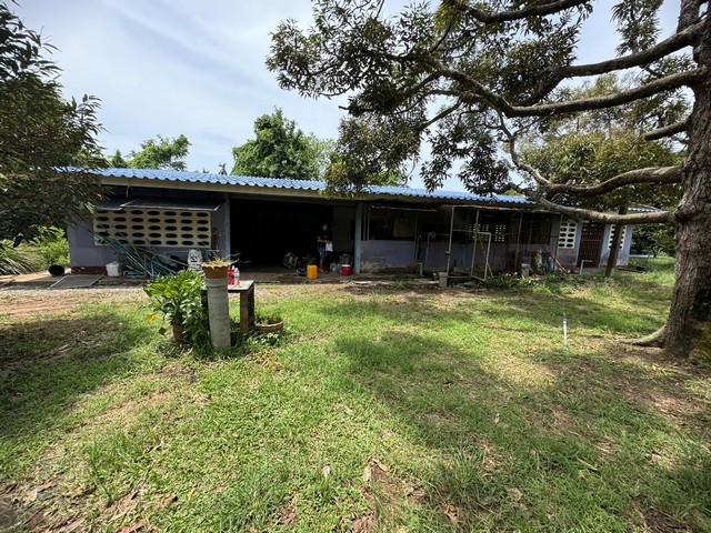 ขายที่ดิน สวนทุเรียนสวย ทำเลดี 15 ไร่ 3 งาน 77 ตารางวา ตำบลกร่ำ อำเภอแกลง จังหวัดระยอง