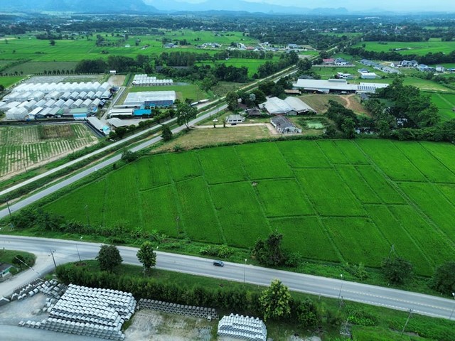 ขาย/ให้เช่าระยะยาว ที่ดินพร้อมสิ่งปลูกสร้าง ใกล้วัดร่องขุ่น และ สิงห์ปาร์ค เชียงราย