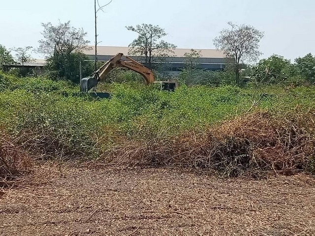 ขายที่ดินเปล่าขนาด 8 ไร่ 21 ตารางวา ตำบลนาโคก อำเภอเมืองสมุทรสาคร จังหวัดสมุทรสาคร 