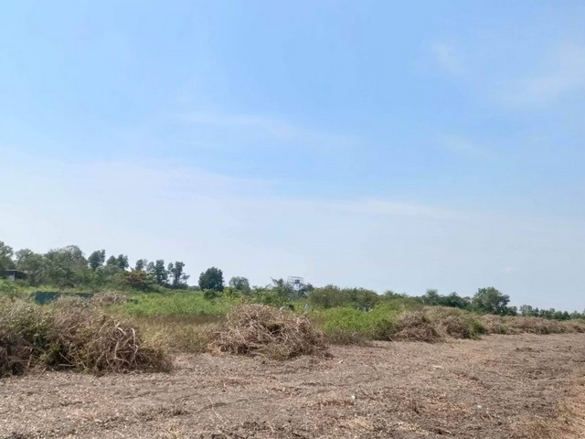 ขายที่ดินเปล่าขนาด 8 ไร่ 21 ตารางวา ตำบลนาโคก อำเภอเมืองสมุทรสาคร จังหวัดสมุทรสาคร 