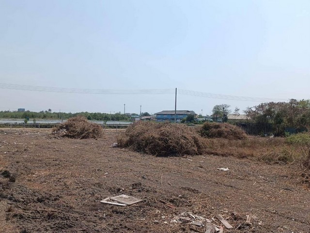 ขายที่ดินเปล่าขนาด 8 ไร่ 21 ตารางวา ตำบลนาโคก อำเภอเมืองสมุทรสาคร จังหวัดสมุทรสาคร 