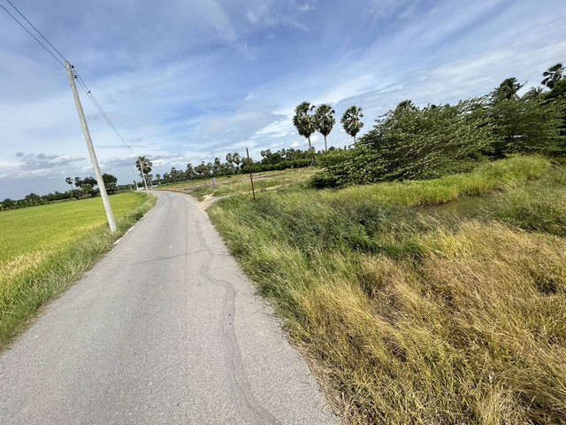 ขายที่ดิน 1 ไร่ 2 งาน ต.พิหารแดง อ.เมืองสุพรรณบุรี จ.สุพรรณบุรี 