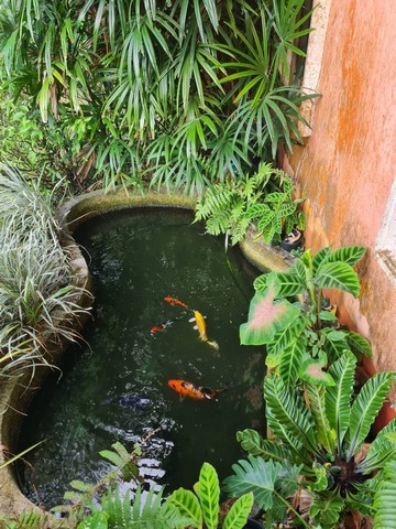 ขายบ้านเดี่ยวพร้อมสิ่งปลูกสร้างอื่นๆ บรรยากาศร่มรื่นแบบธรรมชาติ​สงบ​ร่มเย็น​ 