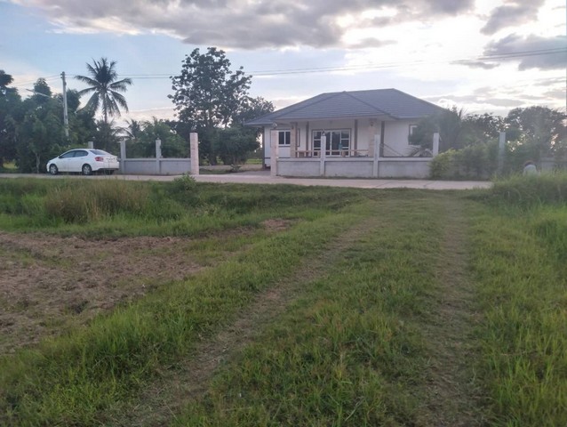 แบ่งขายที่ดินแกใหญ่ 2 ไร่ 1 งาน 16 ตารางวา เจ้าของที่ขายเอง สุรินทร์ 