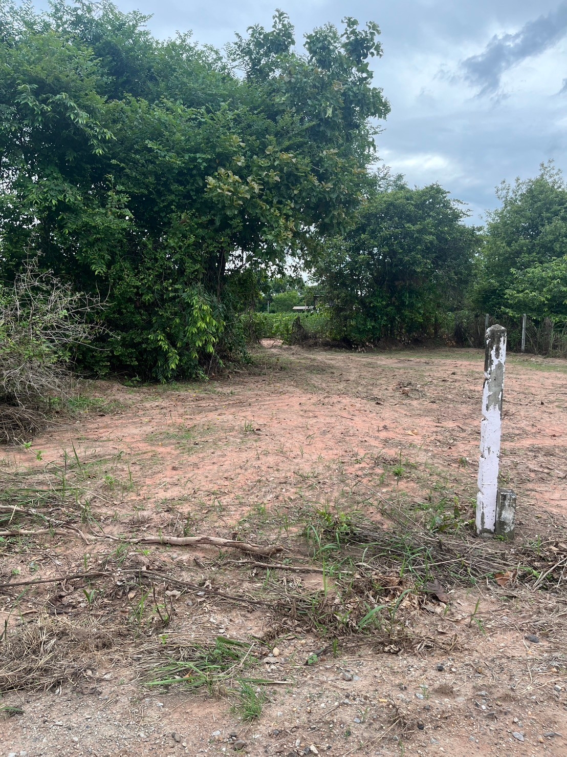 ขายที่ดิน 50 ตารางวา