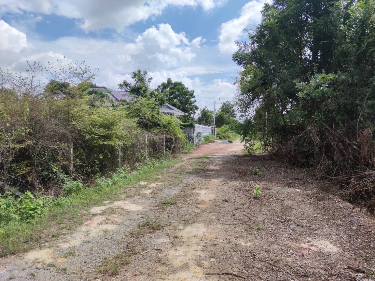 ขายที่ดิน 50 ตารางวา