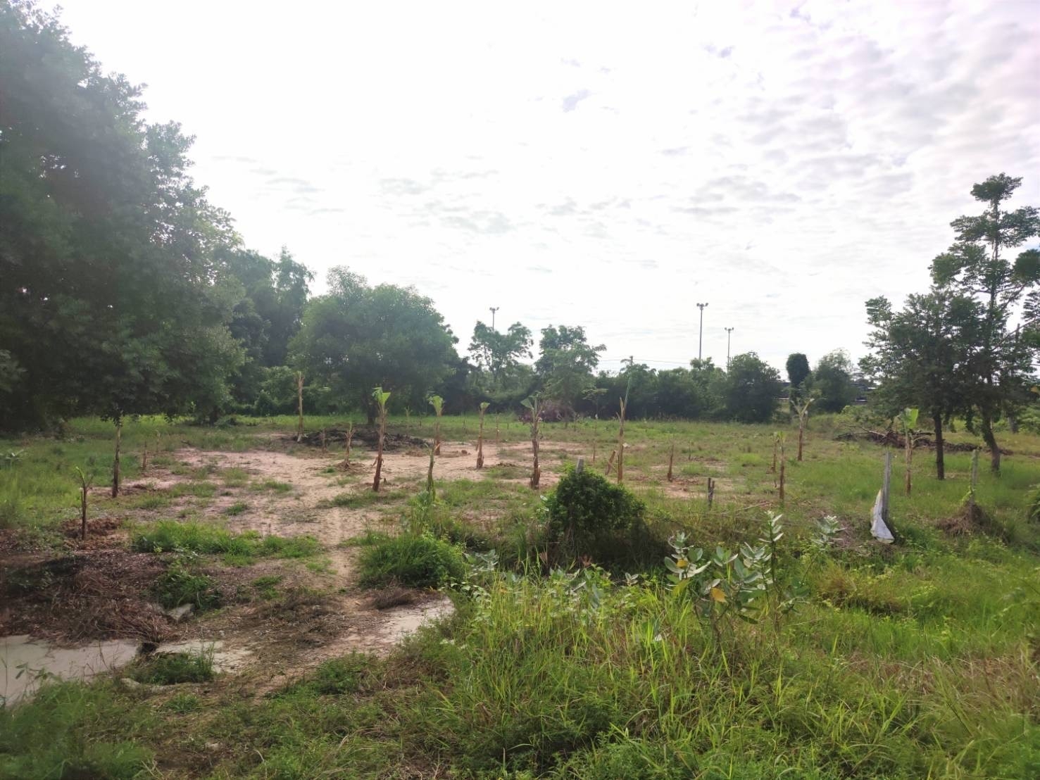 ขายที่ดินติดถนน 1 ไร่ 3 งาน 2 ตร.วา