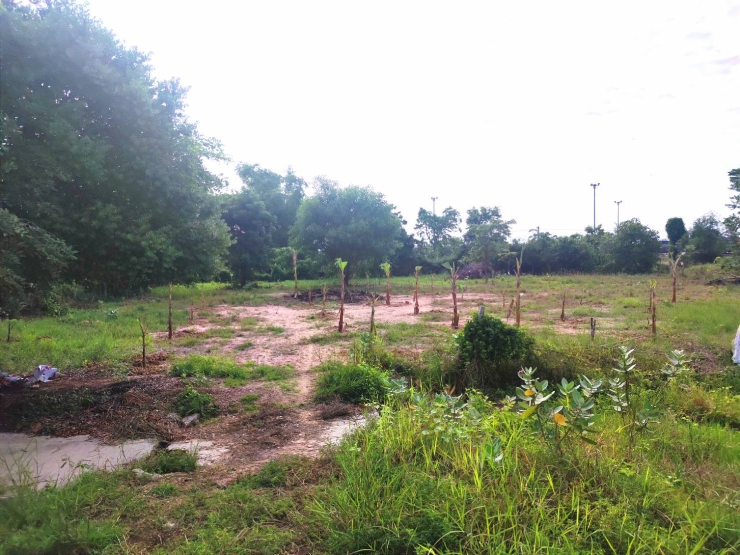 ขายที่ดินติดถนน 1 ไร่ 3 งาน 2 ตร.วา