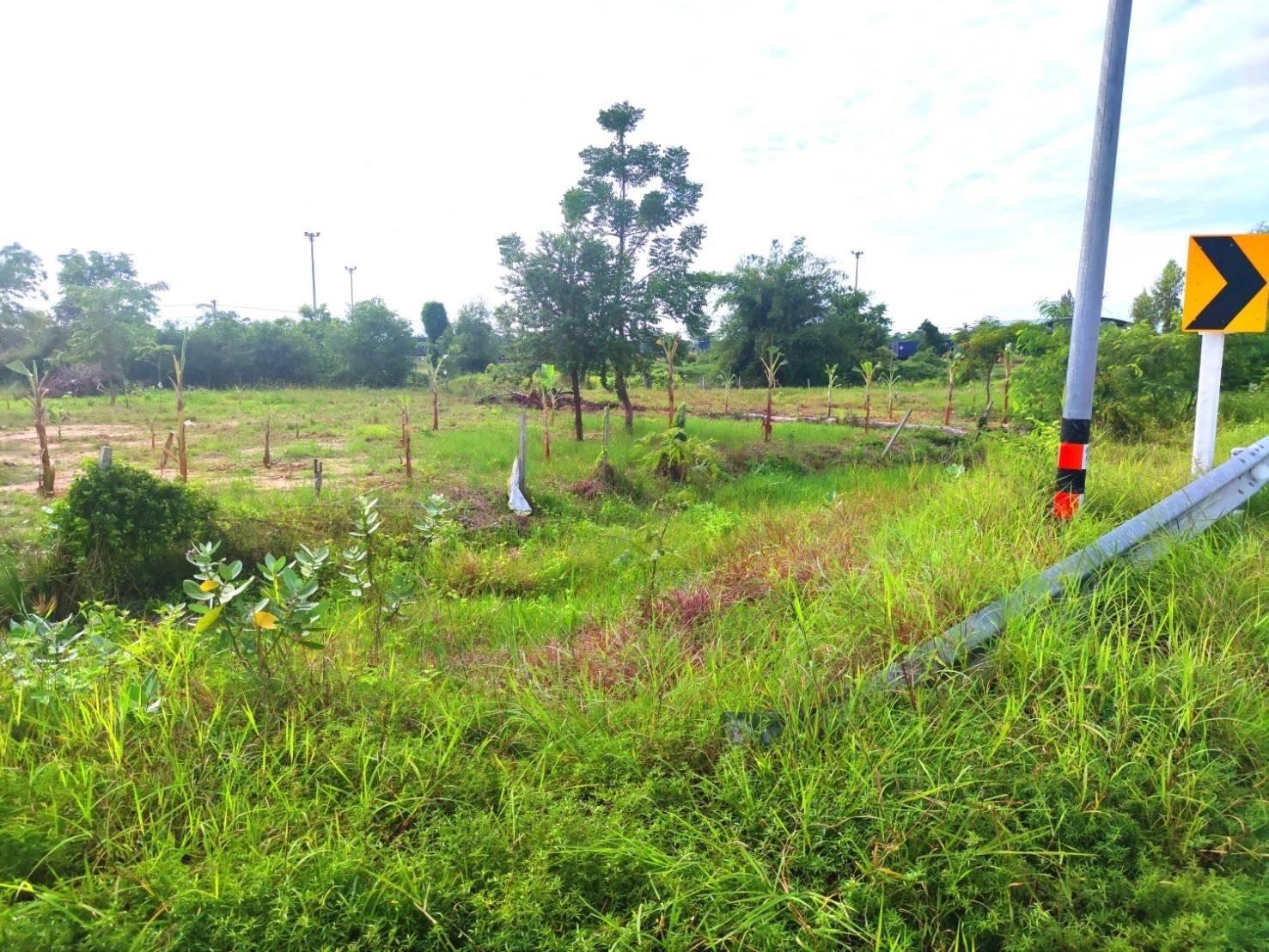 ขายที่ดินติดถนน 1 ไร่ 3 งาน 2 ตร.วา