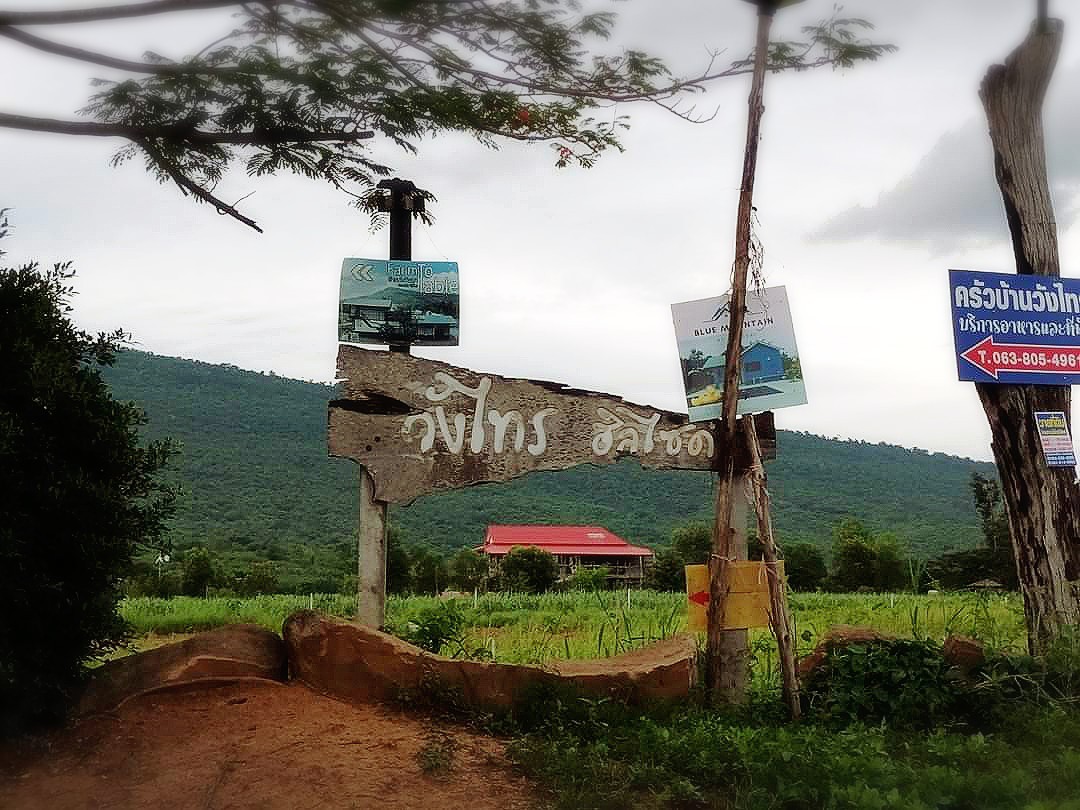 ขายที่ดินพัฒนาแล้ว วังไทร 2 ไร่ 58 ตร.วา