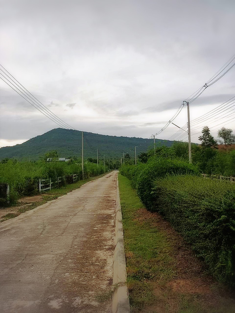 ขายที่ดินพัฒนาแล้ว วังไทร 2 ไร่ 58 ตร.วา