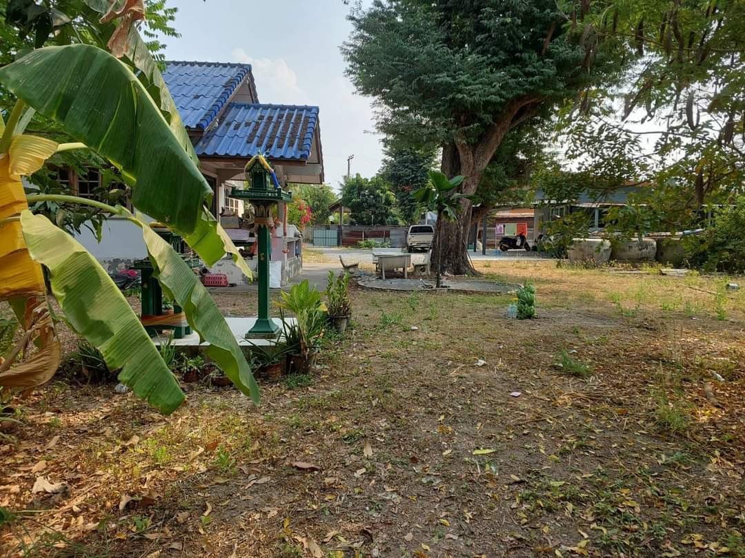 ขายบ้าน2หลังพร้อมที่ดินหมื่นไวยโคราช เนื้อที่ 1.06 ไร่ กว้าง 29 เมตร ลึก 49 เมตร