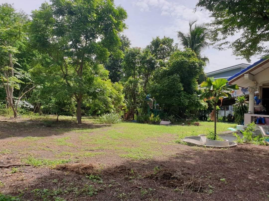 ขายบ้าน2หลังพร้อมที่ดินหมื่นไวยโคราช เนื้อที่ 1.06 ไร่ กว้าง 29 เมตร ลึก 49 เมตร