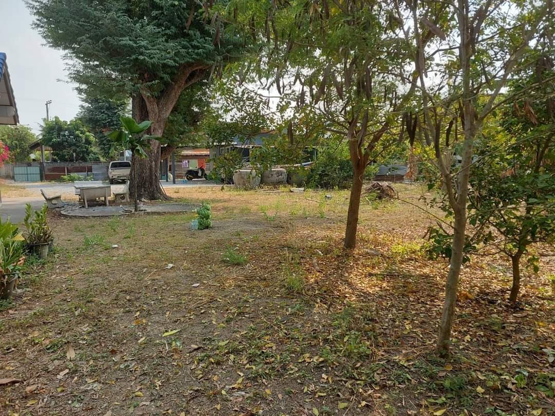 ขายบ้าน2หลังพร้อมที่ดินหมื่นไวยโคราช เนื้อที่ 1.06 ไร่ กว้าง 29 เมตร ลึก 49 เมตร