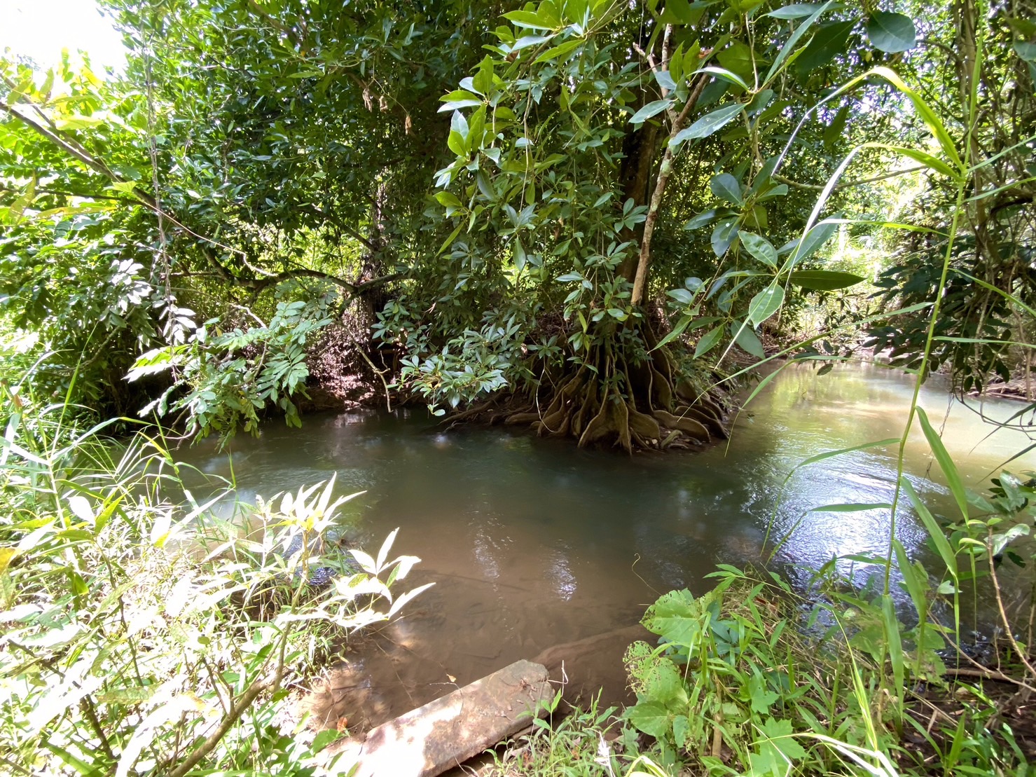 ขายที่ดินวิวสวย ทองผาภูมิ กาญจนบุรี เนื้อที่32ไร่ 59ตารางวา